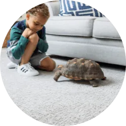 Carpet flooring | Jordans Flooring
