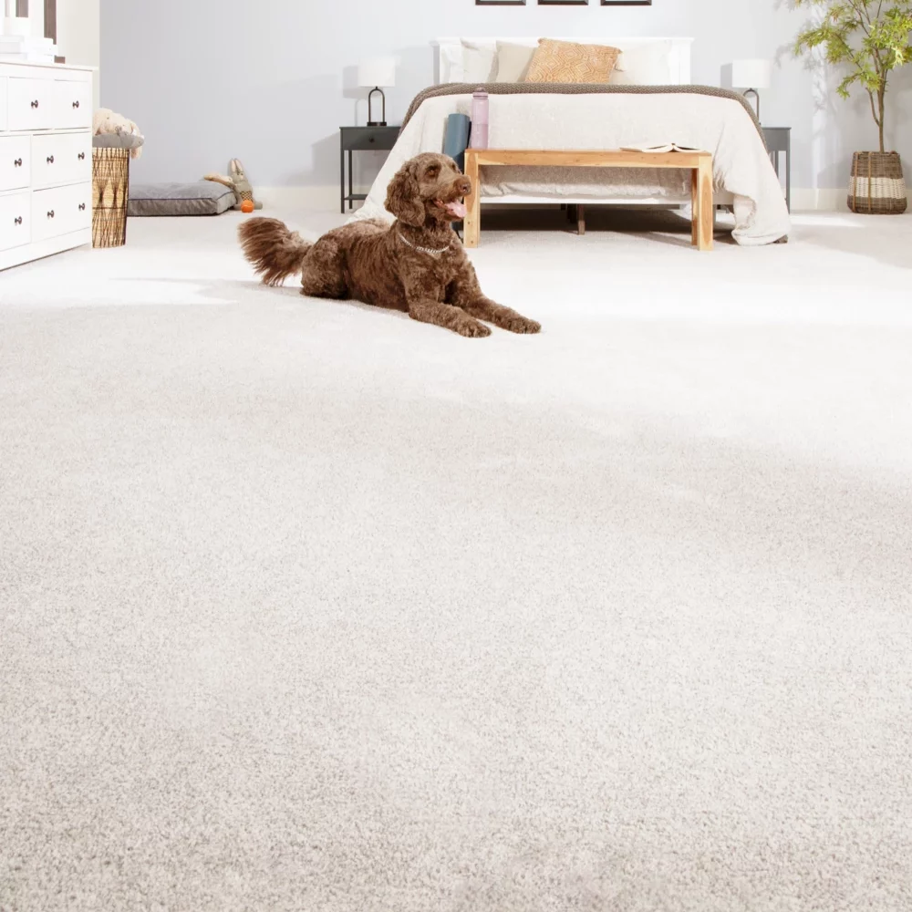 Carpet flooring | Jordans Flooring